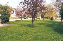 Galloway Green in Spring